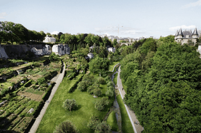 Les zones vertes seront également repensées. ((Illustration: Ville de Luxembourg))