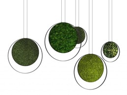 Ring de Green Moon ((Photo: Green Moon))