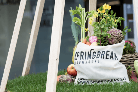 (Photo: Springbreak)