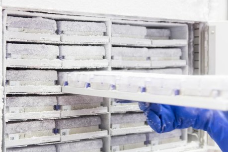 Le projet Interreg Codex4SMEs vise à créer un réseau transnational pour accélérer le développement de diagnostics compagnons par les petites et moyennes entreprises (PME) et donc à promouvoir la médecine personnalisée en Europe. (Photo: © IBBL)