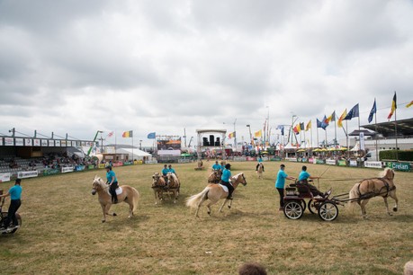 La Foire, c’est aussi l’occasion de découvrir des démonstrations de haut vol. (Photo: Foire agricole)
