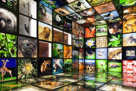 Le sommet du G7 Environnement à Metz a replacé le combat pour la biodiversité en haut de l'agenda. (Photo: Shutterstock)