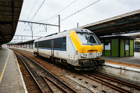 294834.jpg