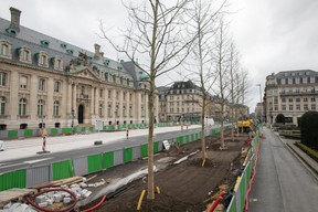 Face au bâtiment de la Spuerkeess, la plantation des nouveaux arbres en vue de l’arrivée du tram témoigne d’un travail suspendu. ((Photo: Matic Zorman))