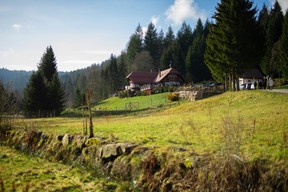 Un cadre naturel unique, une superbe terrasse et de la truite bio locale à la Forellenhof Buhlbach. (Hadrien Friob / Maison Moderne)