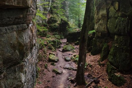 Le Grand-Duché regorge d’idées de sorties en plein air, une manière idéale de consolider une équipe de collaborateurs. (Photo: Maison Moderne / Archives )