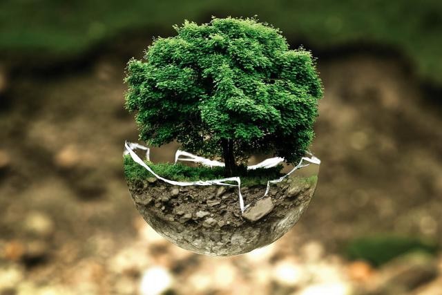 environmental-protection-683437_1280.jpg