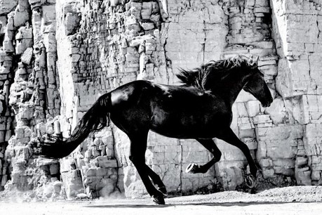 3_the_legend_rosport_poster_campaign5.jpg