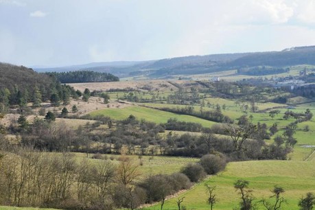 La vallée de la Mamerdall s'étend au total sur neuf communes. (Photo: DR)