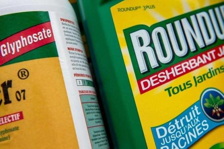 Les renouvellements du glyphosate «à répétition» sont en violation de l’article 17 du règlement sur l’autorisation des produits phytosanitaires, estime le cabinet d’avocats. (Photo: DR)