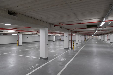 295569.jpg