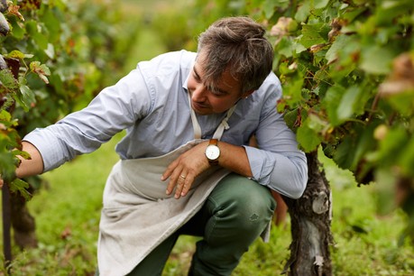 Raphaël Bérêche: le terroir avant tout. (Photo: Maison Bérêche)