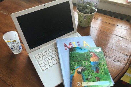 «Nous avons eu une montée en puissance du rythme et du nombre de devoirs», explique cette maman d’une petite fille inscrite en sixième année primaire à l’école luxembourgeoise. (Photo: DR)